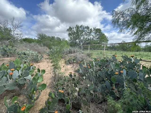 17603 Shepherd Rd Atascosa, TX 78002