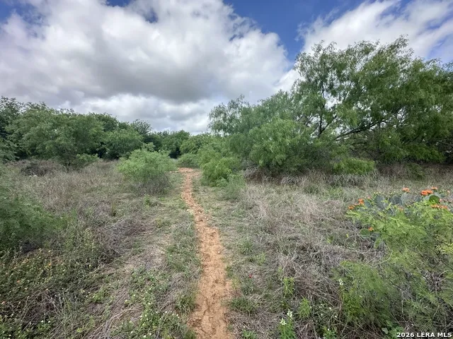 17603 Shepherd Rd Atascosa, TX 78002
