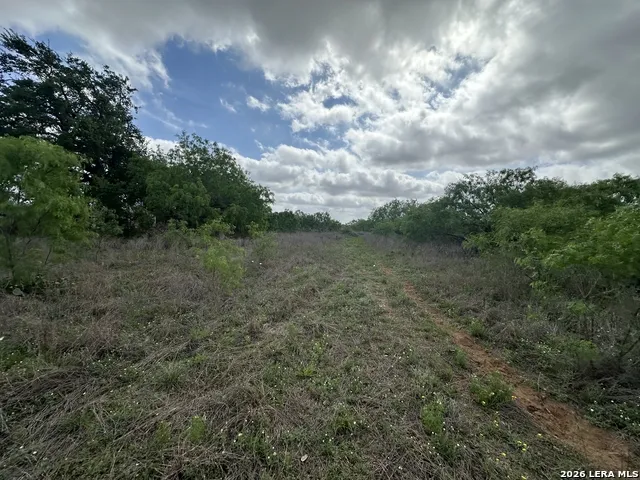 17603 Shepherd Rd Atascosa, TX 78002