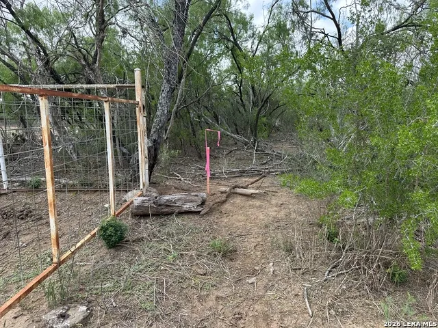 17603 Shepherd Rd Atascosa, TX 78002