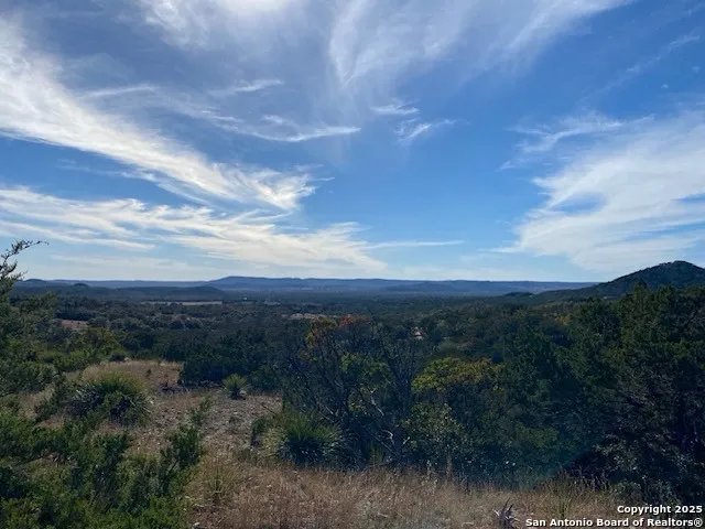 106 Walden Ridge Tarpley, TX 78883