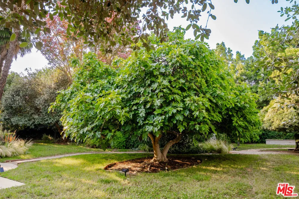 17401 Londelius Street Northridge, CA 91325