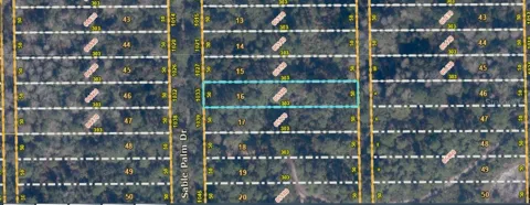 1033 SABLE PALM DRIVE