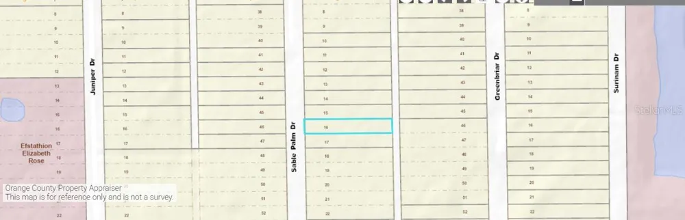 1033 SABLE PALM DRIVE Christmas, FL 32709