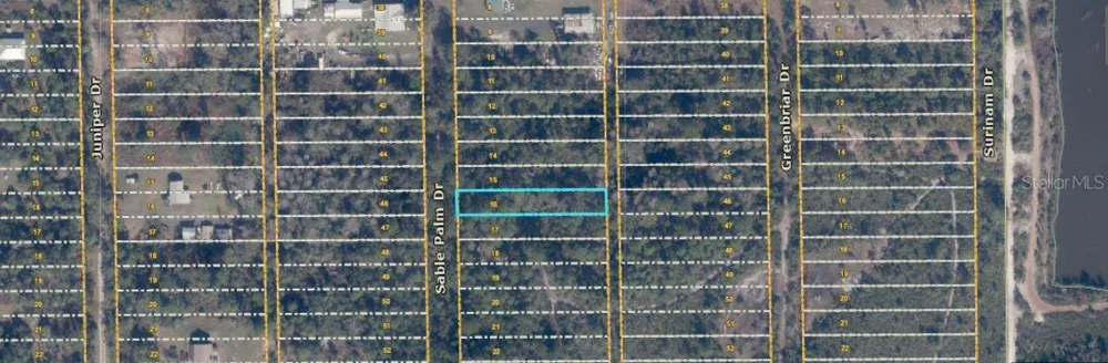 1033 SABLE PALM DRIVE Christmas, FL 32709