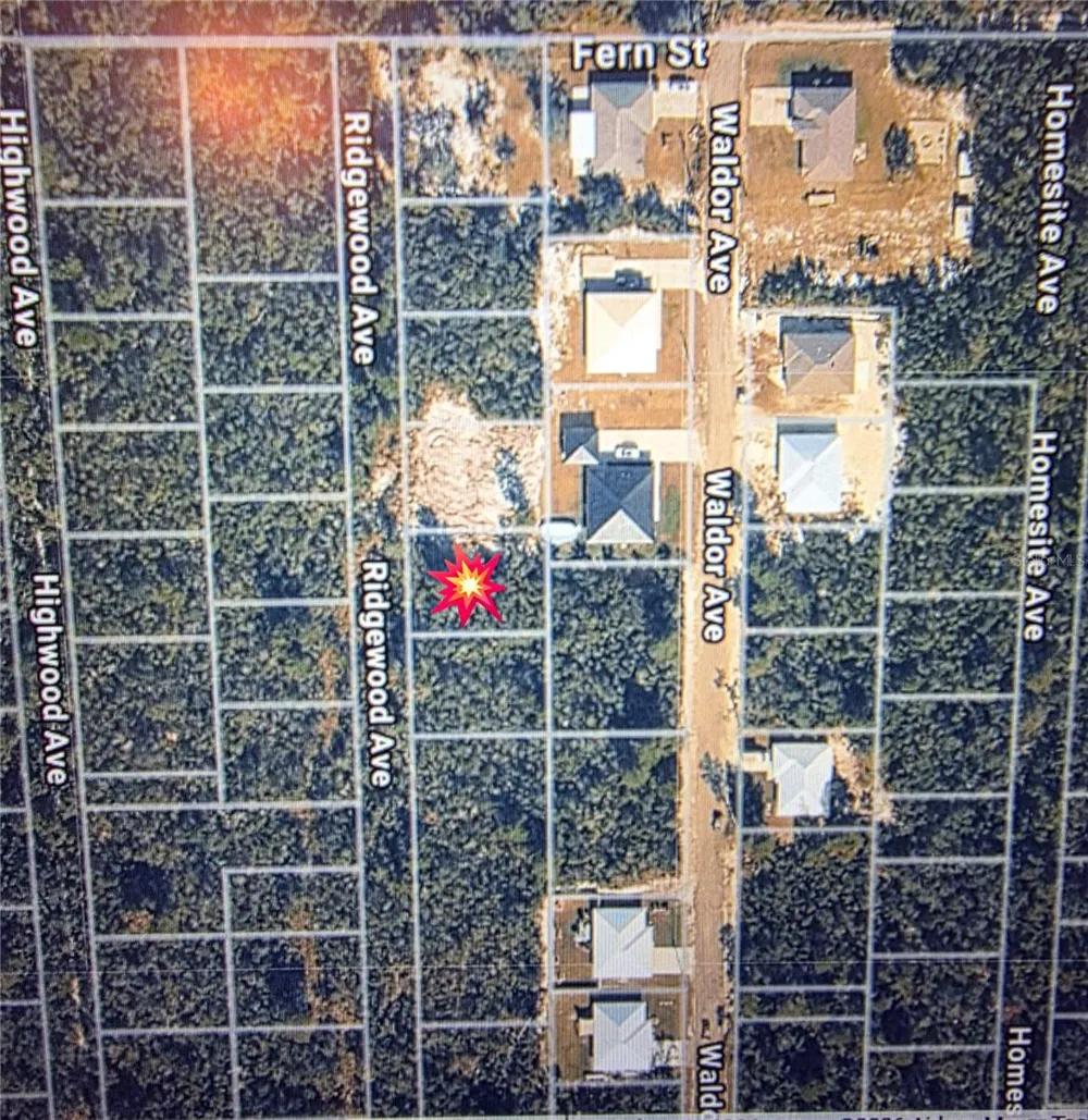 RIDGEWOOD AVENUE Orange City, FL 32763