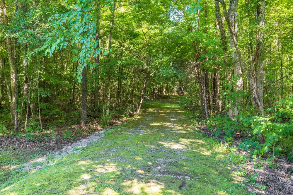 149 Ledford Lane Decatur, TN 37322