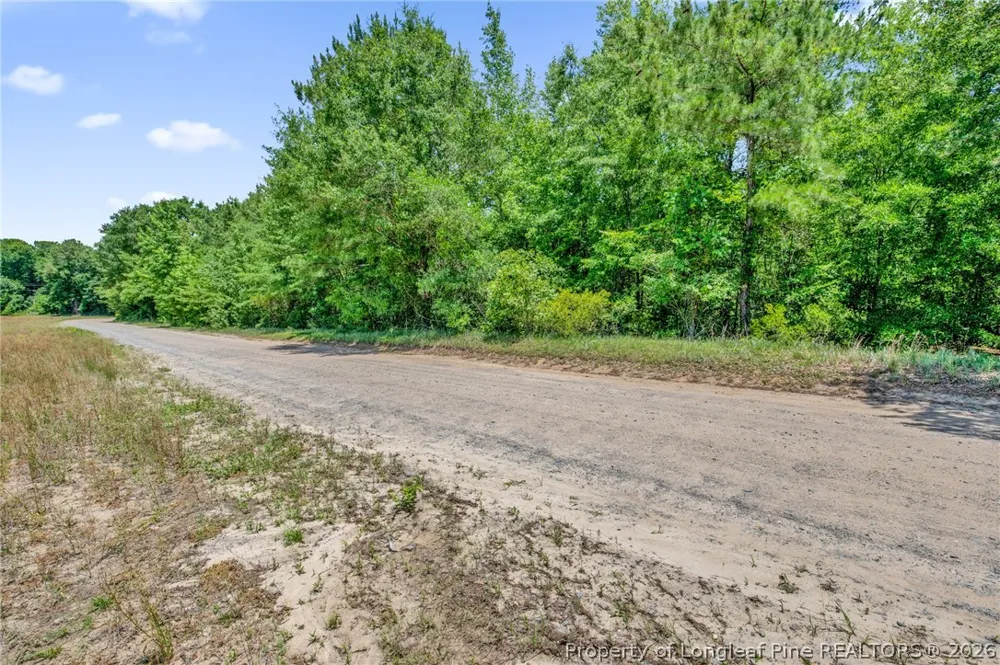 Riverstead (Lot 1) Road E Fayetteville, NC 28312