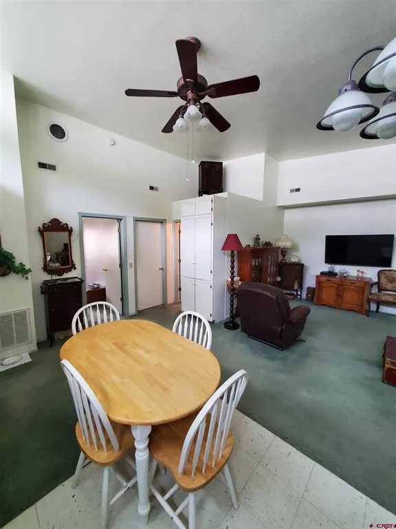 1145 Greene Street Silverton, CO 81433