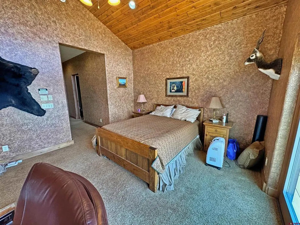 509 Black Bear Trail South Fork, CO 81154