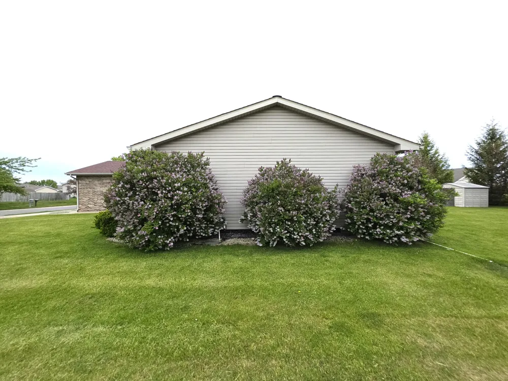 8389 Buchanan Street Merrillville, IN 46410
