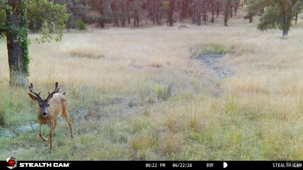 73001 Covelo Road Covelo, CA 95428