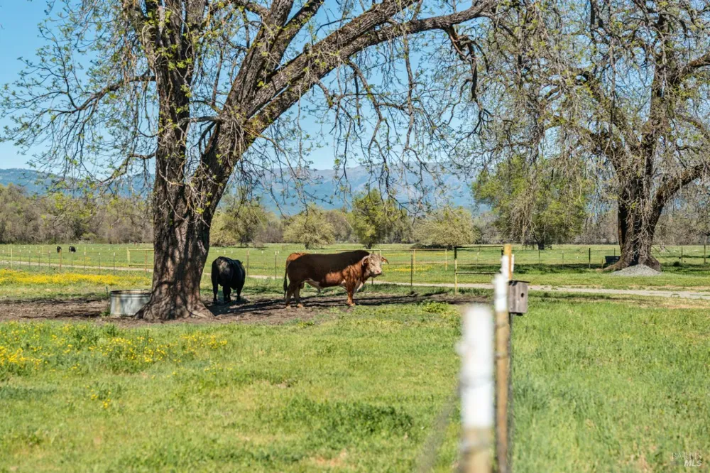 73001 Covelo Road Covelo, CA 95428