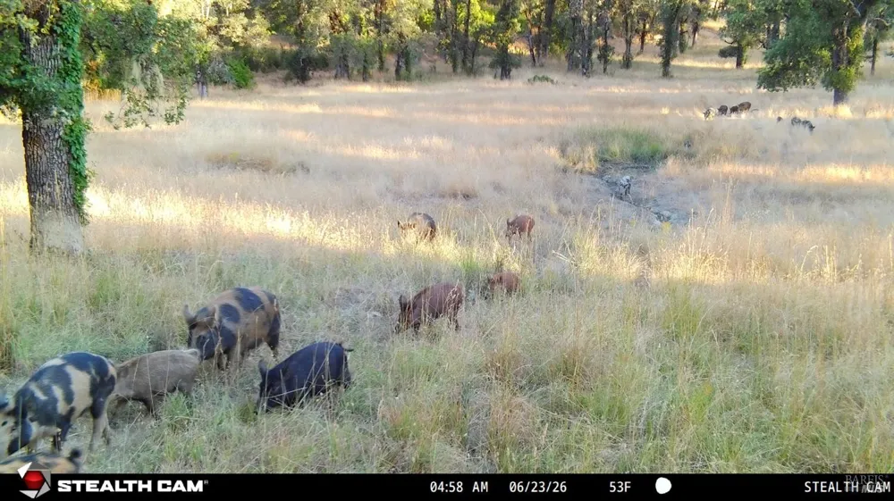 73001 Covelo Road Covelo, CA 95428