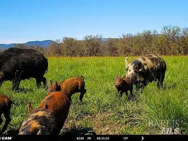 73001 Covelo Road Covelo, CA 95428