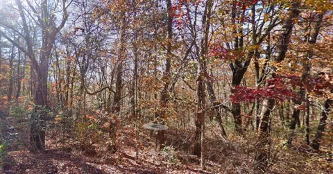 1508 Rocky Ridge Lane