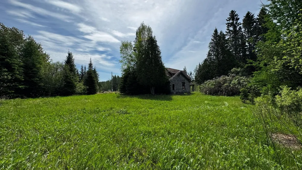 TBD Highway 169 Virginia, MN 55792