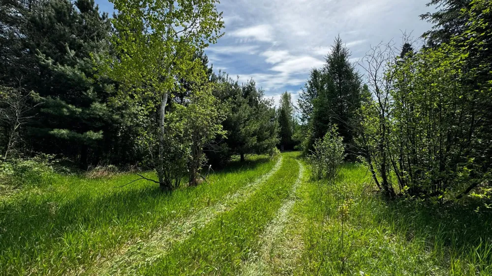 TBD Highway 169 Virginia, MN 55792