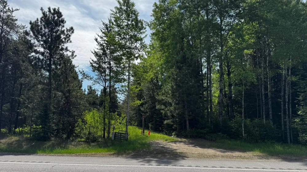 TBD Highway 169 Virginia, MN 55792