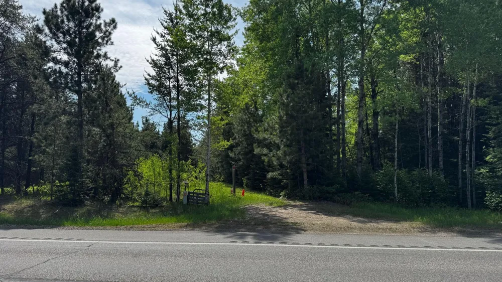 TBD Highway 169 Virginia, MN 55792