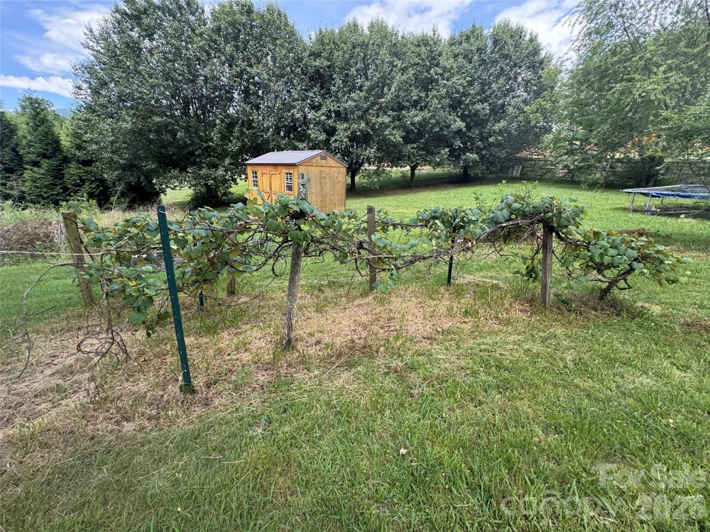 3 Odie Lane Candler, NC 28715