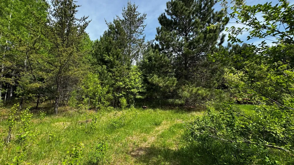TBD-B HWY 169 Virginia, MN 55792