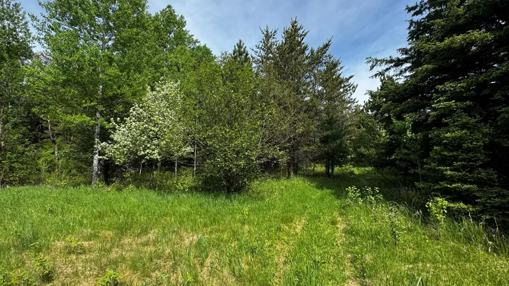 TBD-B HWY 169 Virginia, MN 55792