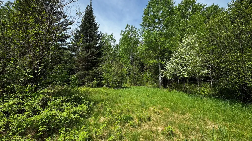 TBD-B HWY 169 Virginia, MN 55792