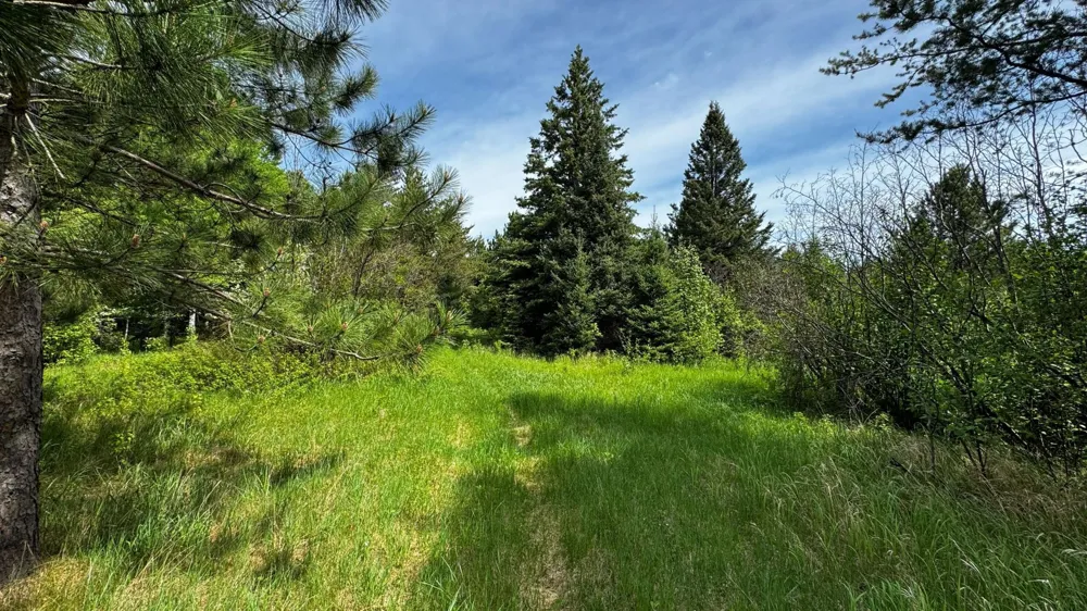 TBD-B HWY 169 Virginia, MN 55792