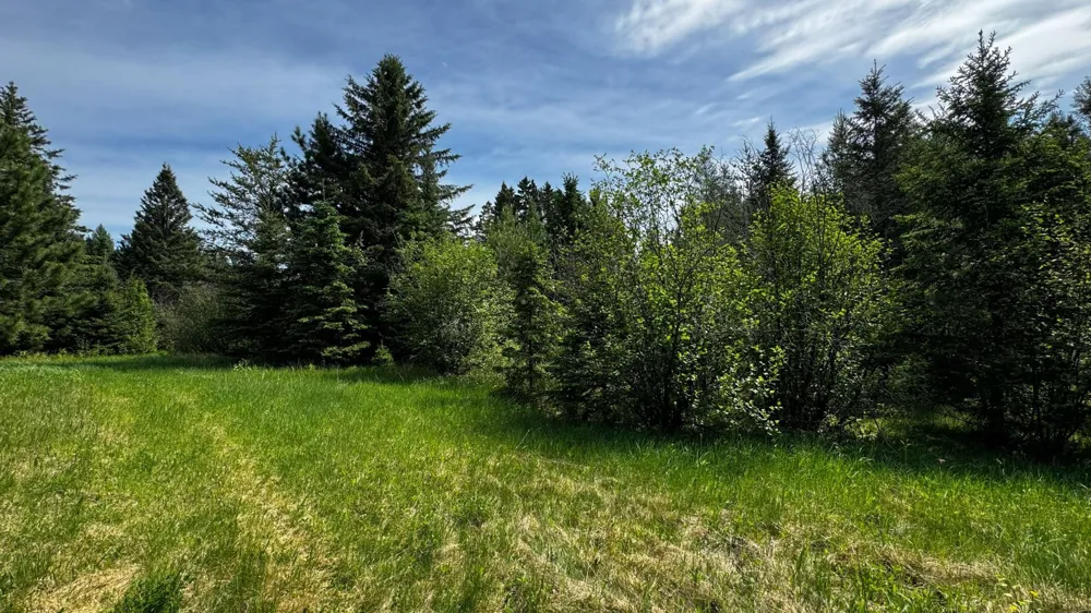 TBD-B HWY 169 Virginia, MN 55792