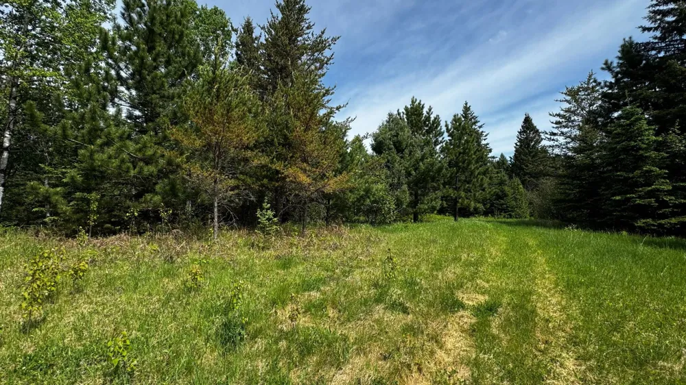 TBD-B HWY 169 Virginia, MN 55792