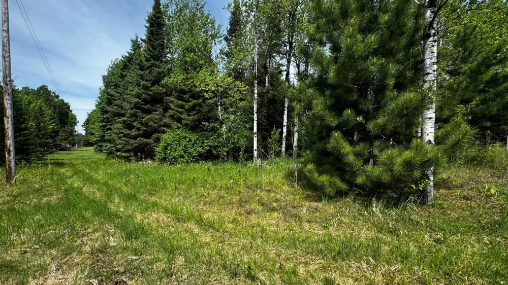 TBD-B HWY 169 Virginia, MN 55792