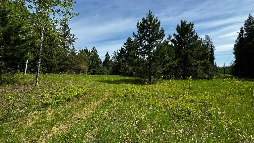 TBD-B HWY 169 Virginia, MN 55792