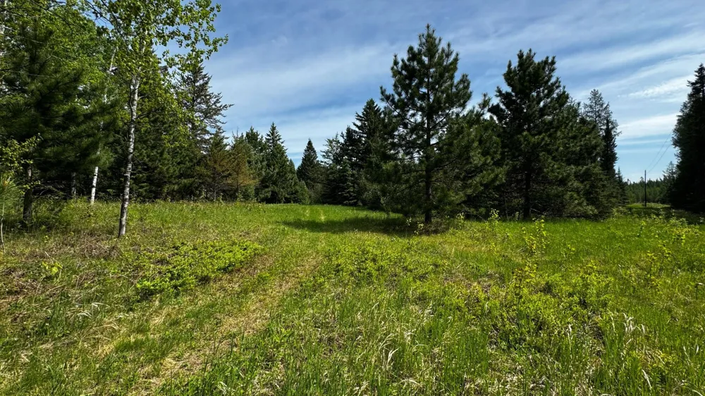 TBD-B HWY 169 Virginia, MN 55792