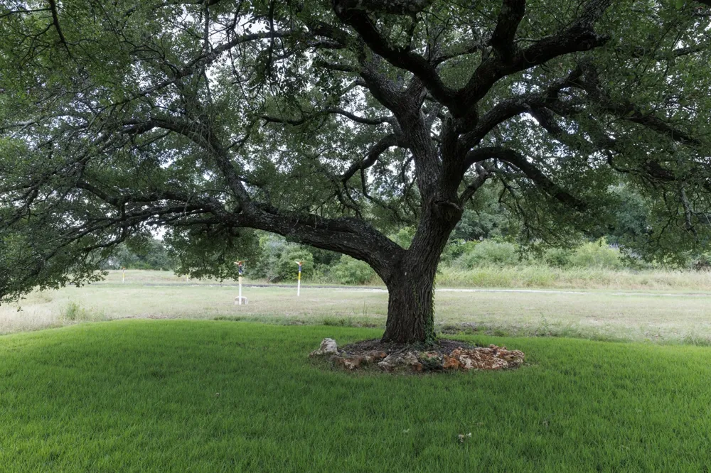 1005 Cimarron Hills Trail W Georgetown, TX 78628