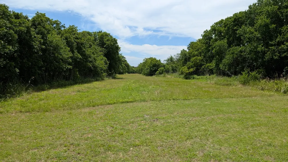 209 Rosetree Court Hewitt, TX 76643