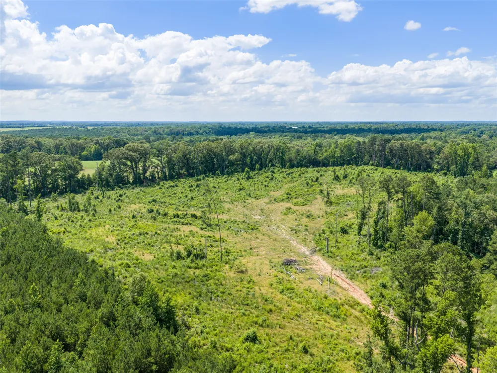 Mule Deer RD Road Gilmer, TX 75644