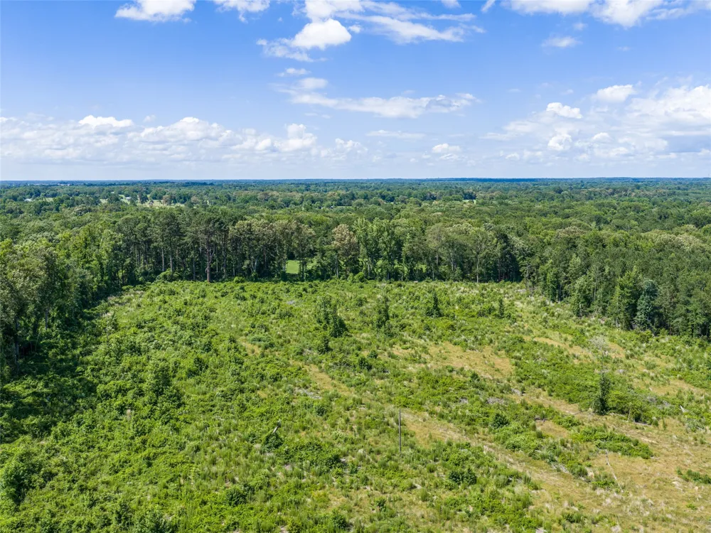 Mule Deer RD Road Gilmer, TX 75644