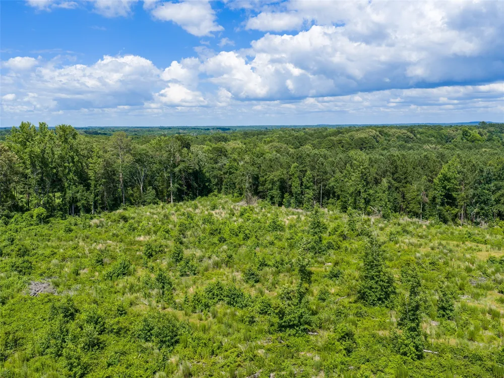 Mule Deer RD Road Gilmer, TX 75644
