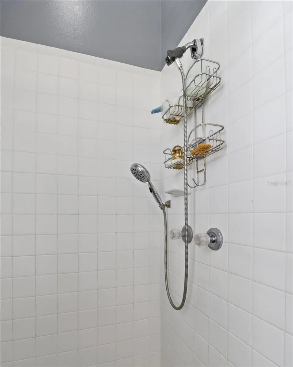 168 W ROMANY LOOP Beverly Hills, FL 34465