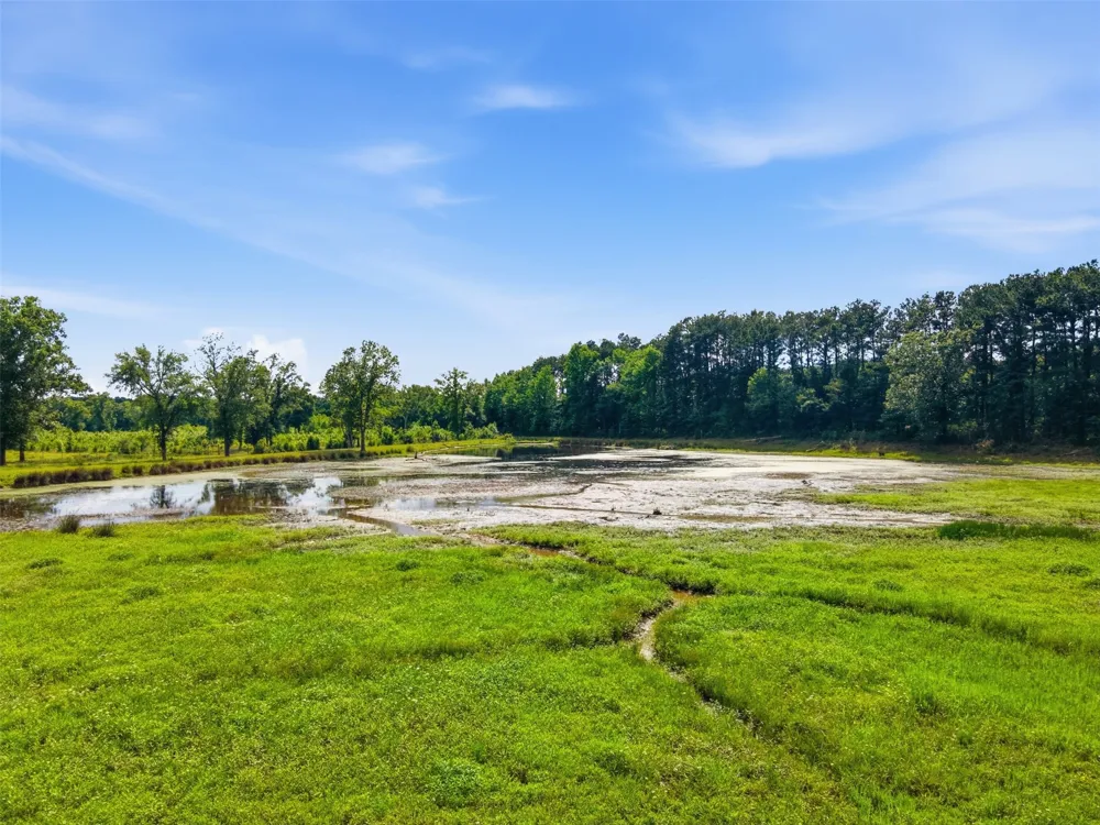 254 County Road 4129 New Boston, TX 75570