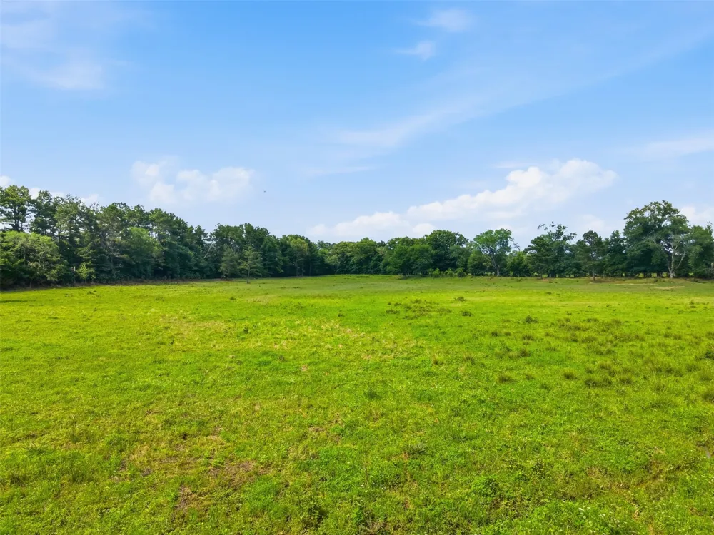 254 County Road 4129 New Boston, TX 75570