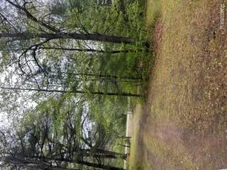 5055 Adams Road Sherman Township, MI 48624