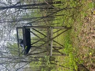 5055 Adams Road Sherman Township, MI 48624
