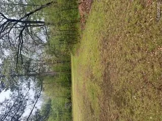 5055 Adams Road Sherman Township, MI 48624