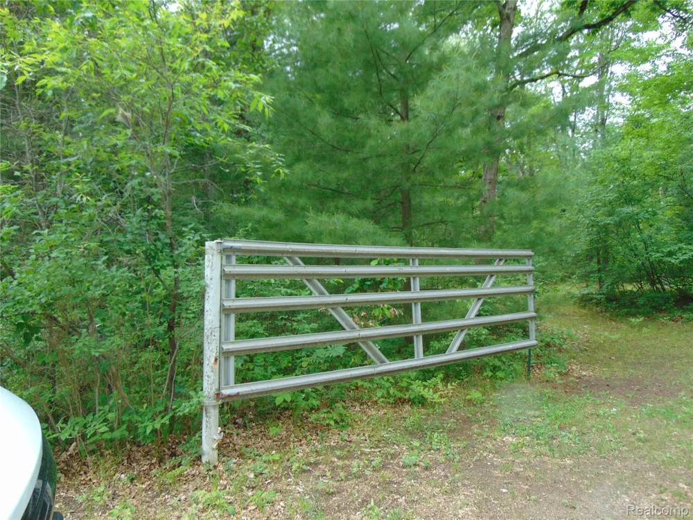5055 Adams Road Sherman Township, MI 48624