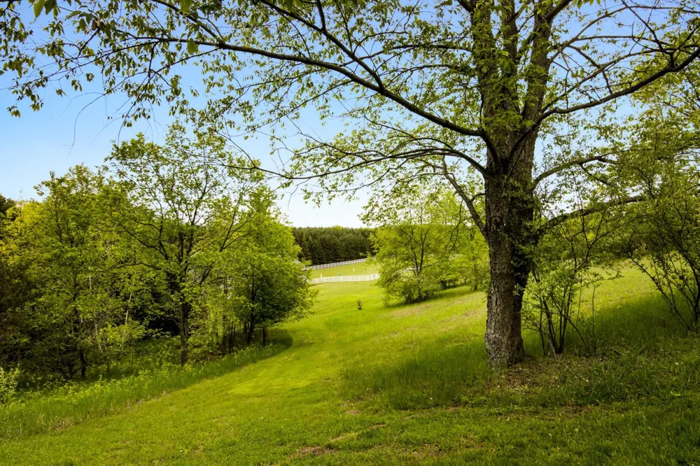 8401 S Sullivan Road Kasson Township, MI 49621