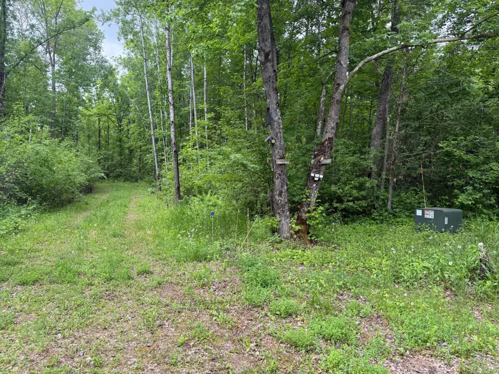 10551 Mallard Road Brook Park, MN 55007