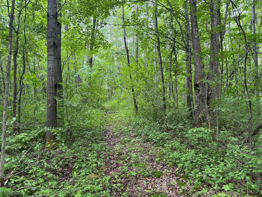 10551 Mallard Road Brook Park, MN 55007