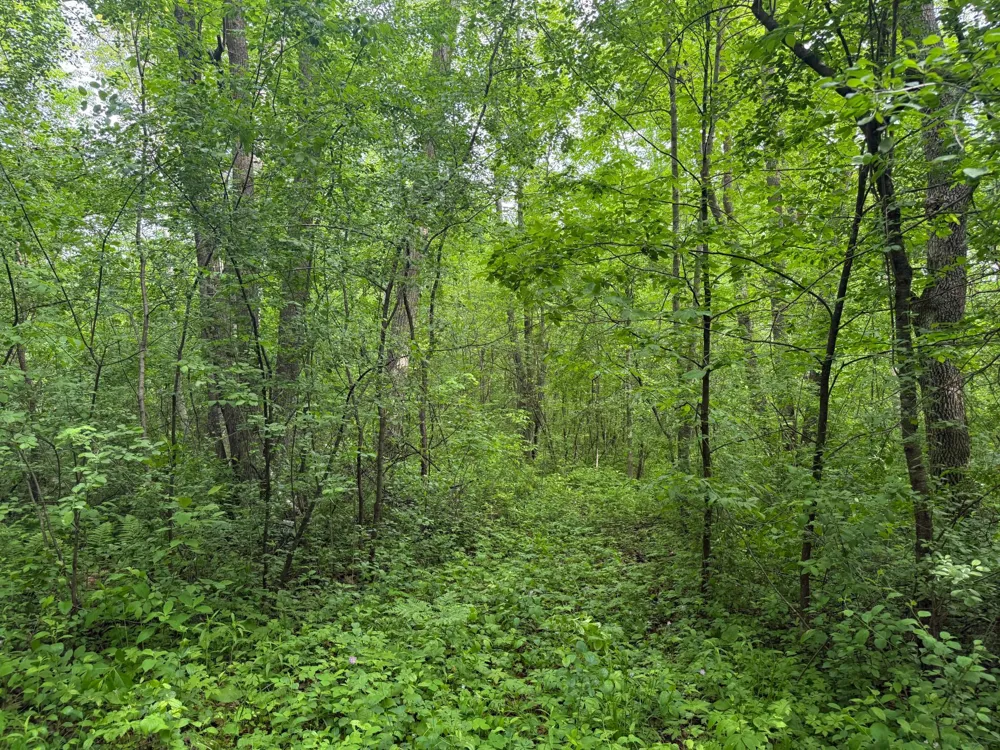 10551 Mallard Road Brook Park, MN 55007